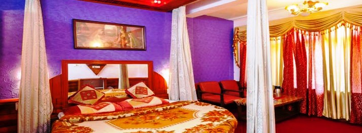 1548/Hotel Him View - Manali 12.jpg